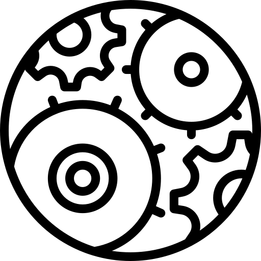 4 struktura